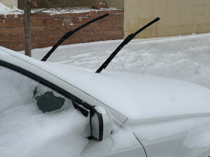 Two windshield wiper blades raised upright on a snow-covered car to prevent freezing.